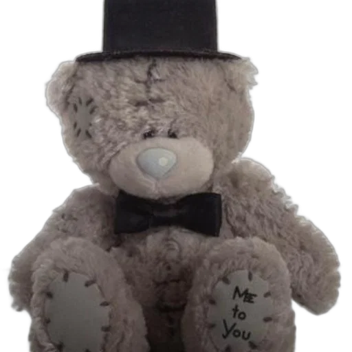 staff, hat, teddy, bear transparent PNG cut-out