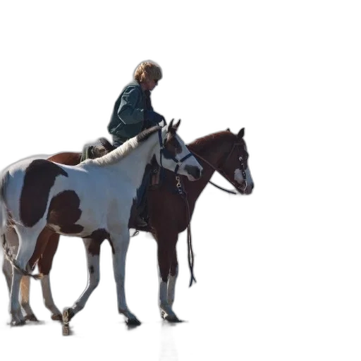 animal, staff, concept art, 3d render transparent PNG cut-out