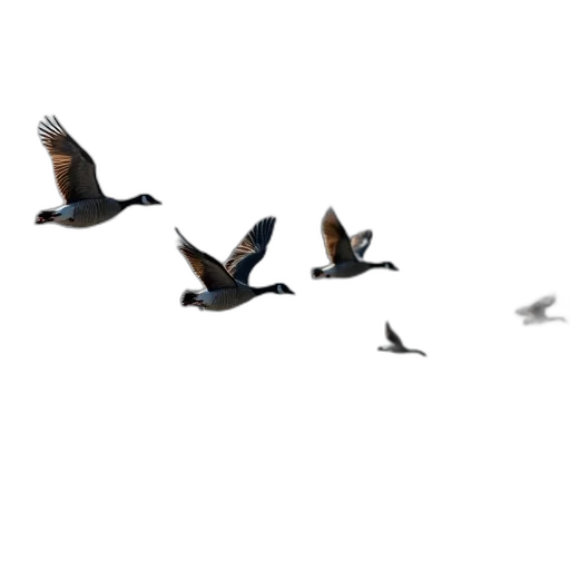 animal, 3d render, concept art, photorealistic transparent PNG cut-out
