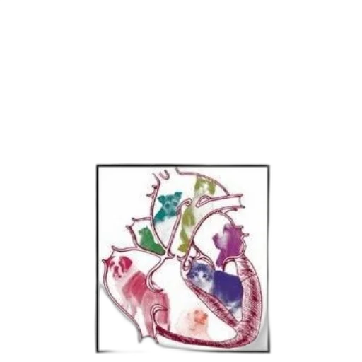 jewelry, crown, dragon, flower transparent PNG cut-out