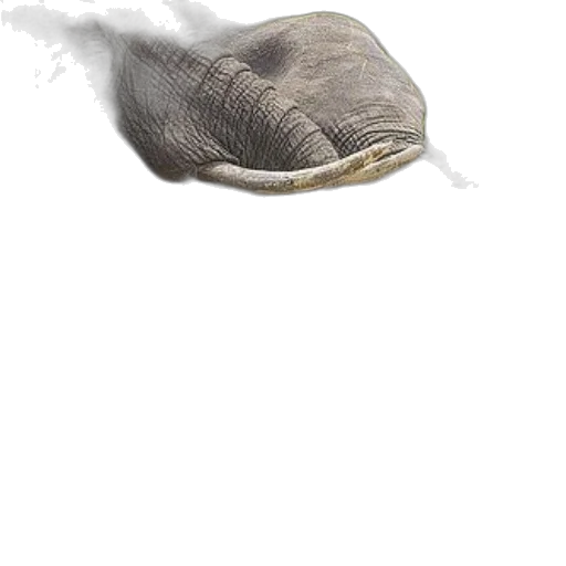 mask, hat, hair, creature transparent PNG cut-out