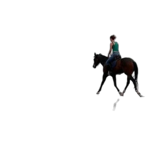 animal, creature, hat, staff transparent PNG cut-out