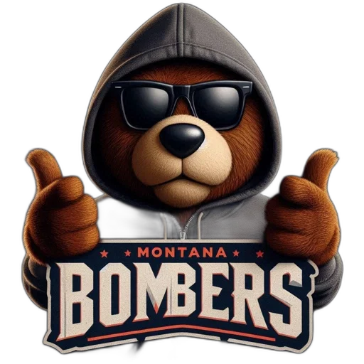 bear, character, wearing, hoodie transparent PNG cut-out