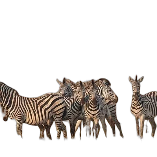 animal, creature, 3d render, concept art transparent PNG cut-out