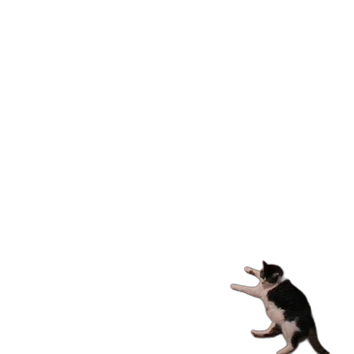animal, creature, staff, robot transparent PNG cut-out