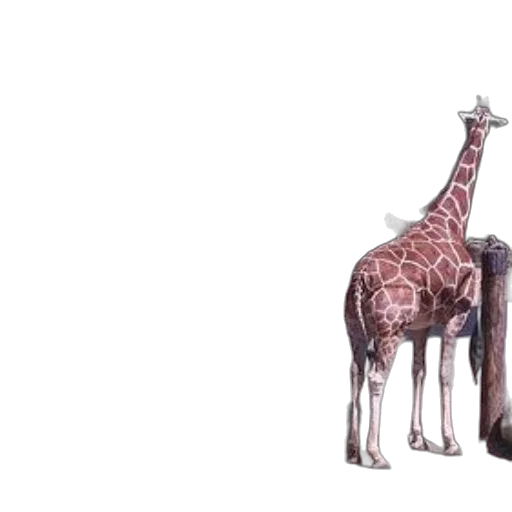 animal, creature, umbrella, furniture transparent PNG cut-out