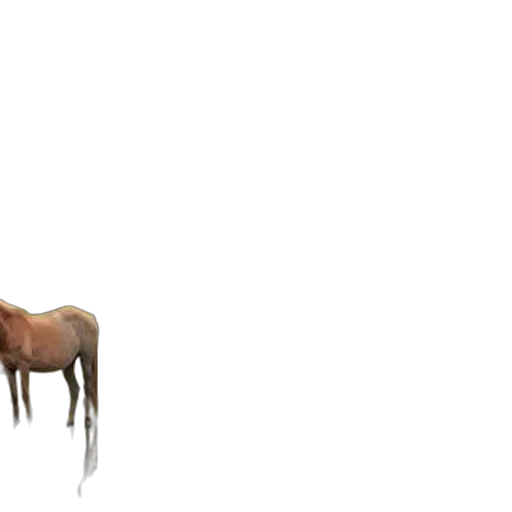 animal, creature, furniture, crown transparent PNG cut-out