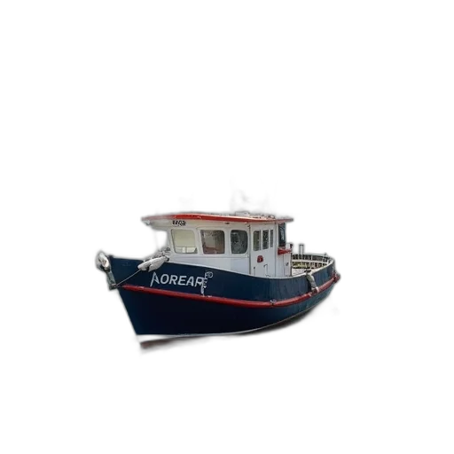 3d render, photorealistic, small, fishing transparent PNG cut-out