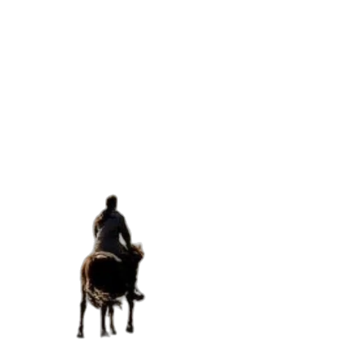 animal, jacket, hat, staff transparent PNG cut-out