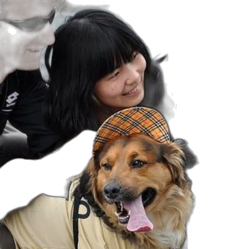 jacket, animal, creature, staff transparent PNG cut-out