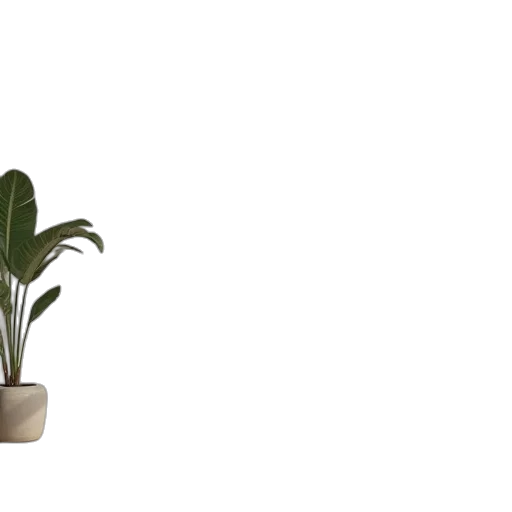furniture, crown, flower, tree transparent PNG cut-out