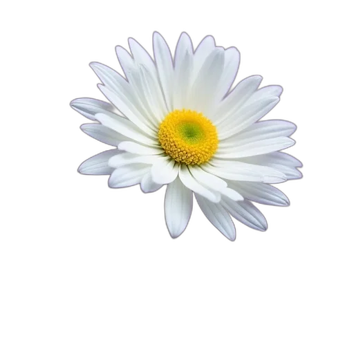 flower, jewelry, crown, staff transparent PNG cut-out