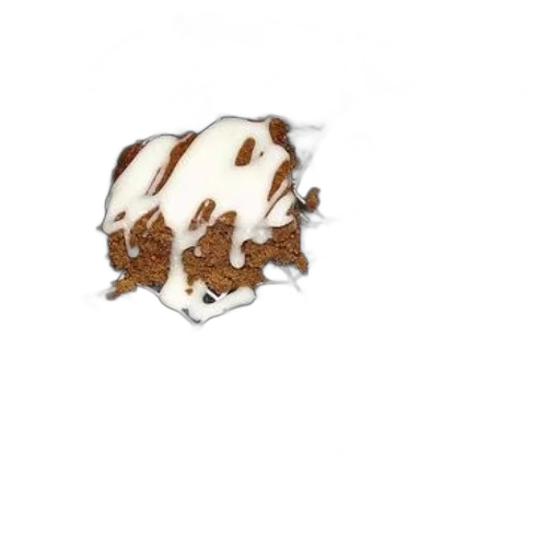 food, animal, jacket, creature transparent PNG cut-out