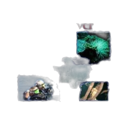 weapon, car, dragon, crown transparent PNG cut-out