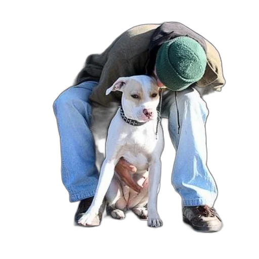 animal, staff, jacket, photorealistic transparent PNG cut-out