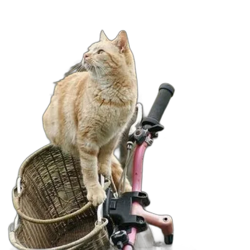 animal, staff, weapon, robot transparent PNG cut-out