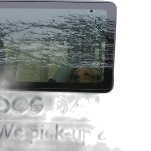 car, dog, day, care transparent PNG cut-out