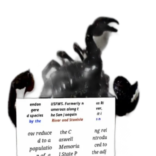 dragon, creature, animal, robot transparent PNG cut-out