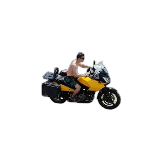 car, animal, 3d render, photorealistic transparent PNG cut-out
