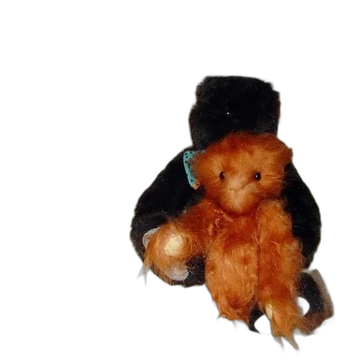 hat, creature, animal, jacket transparent PNG cut-out