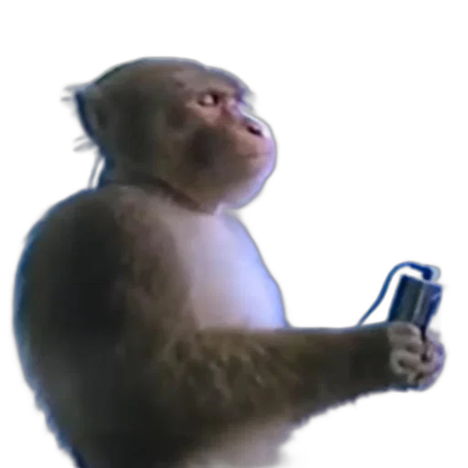 animal, staff, concept art, photorealistic transparent PNG cut-out