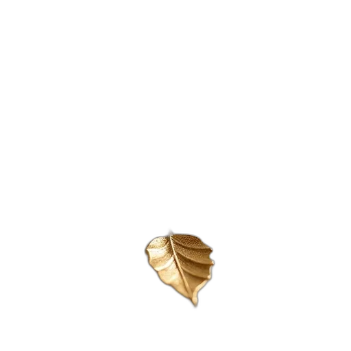 jewelry, crown, shoes, hat transparent PNG cut-out