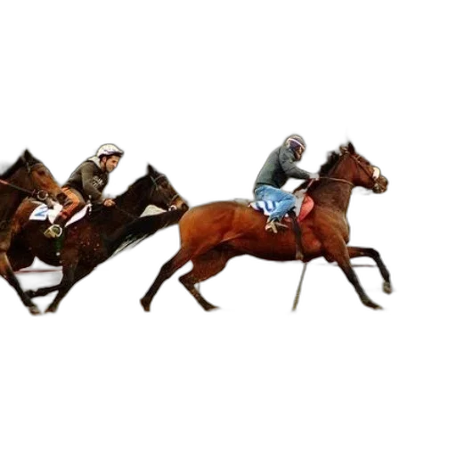 animal, concept art, two, jockeys transparent PNG cut-out