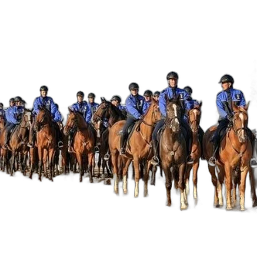 staff, group, police, officers transparent PNG cut-out