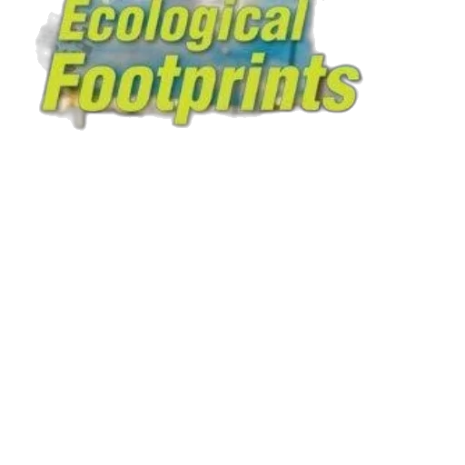 shoes, ecological, footprints, essential transparent PNG cut-out