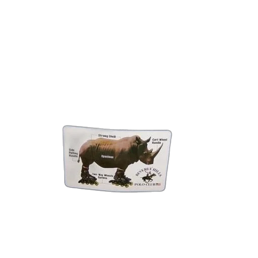 animal, creature, dragon, jewelry transparent PNG cut-out