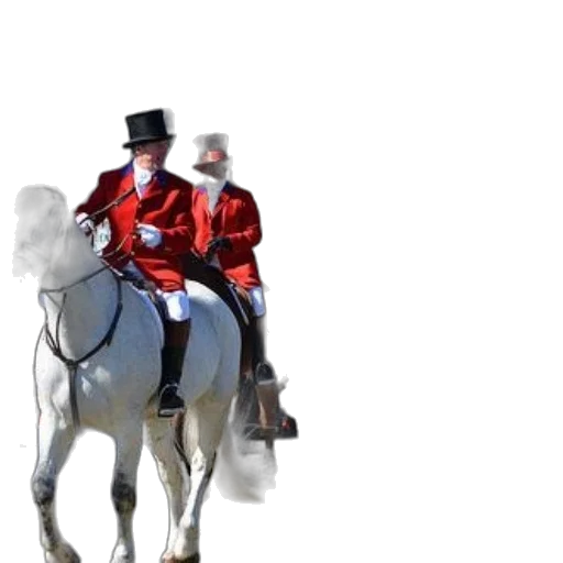 hat, staff, sword, jacket transparent PNG cut-out