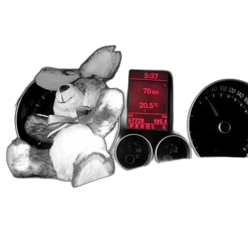 stuffed, animal, sits, dashboard transparent PNG cut-out
