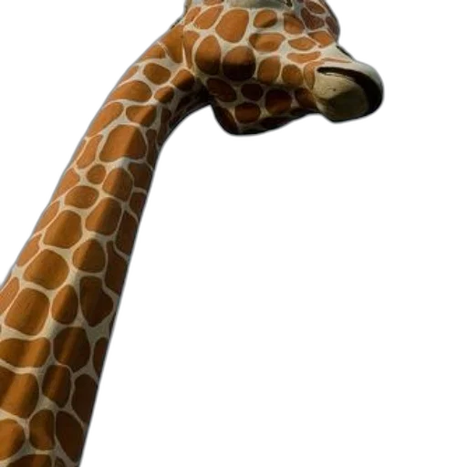 animal, creature, staff, hat transparent PNG cut-out