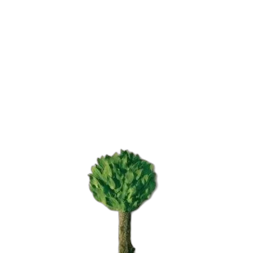 tree, crown, flower, staff transparent PNG cut-out