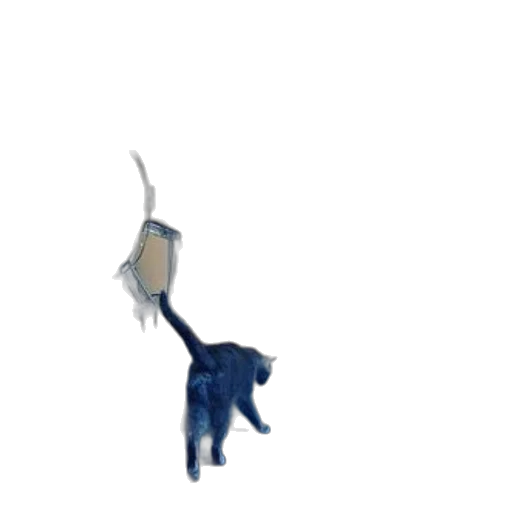 animal, staff, creature, umbrella transparent PNG cut-out