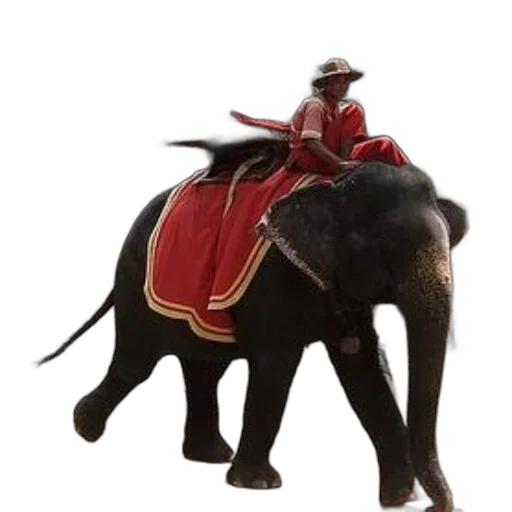 animal, hat, staff, concept art transparent PNG cut-out