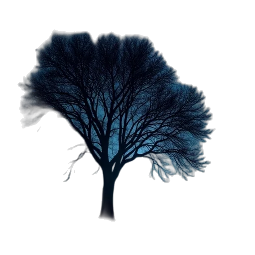 tree, hair, crown, hat transparent PNG cut-out