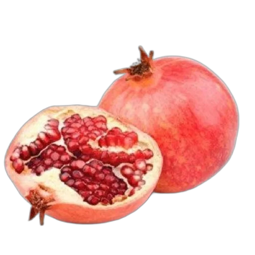 food, crown, animal, weapon transparent PNG cut-out