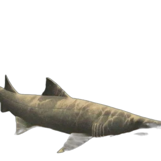 animal, creature, weapon, staff transparent PNG cut-out