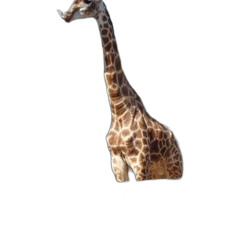 animal, creature, staff, hat transparent PNG cut-out