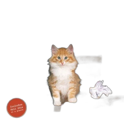 animal, creature, staff, calendar transparent PNG cut-out