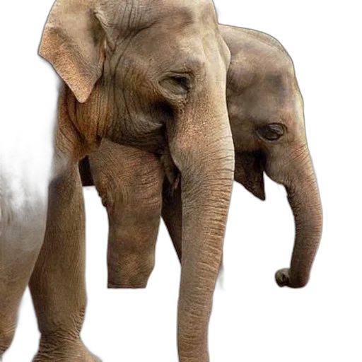 animal, creature, photorealistic, 3d render transparent PNG cut-out