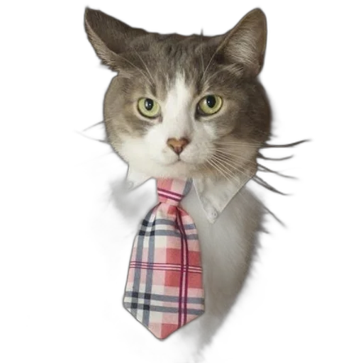 staff, animal, gray, white transparent PNG cut-out