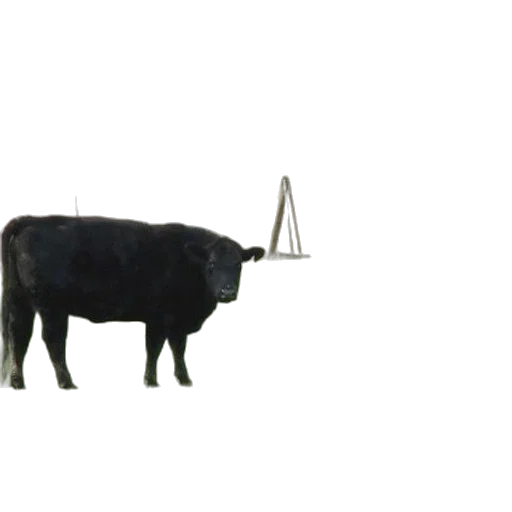 animal, staff, jewelry, weapon transparent PNG cut-out