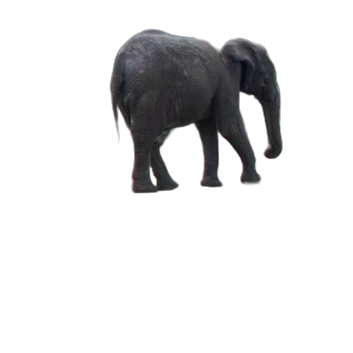animal, creature, staff, hat transparent PNG cut-out