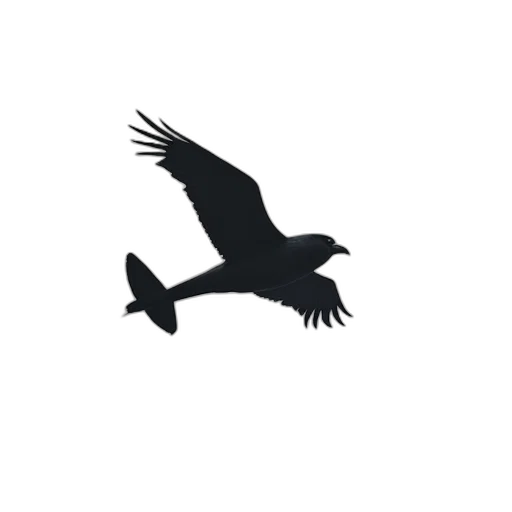 animal, staff, jacket, jewelry transparent PNG cut-out