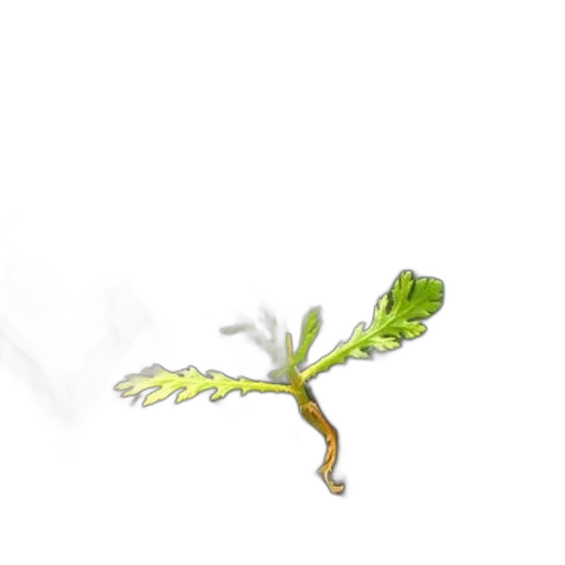 staff, dragon, tree, weapon transparent PNG cut-out