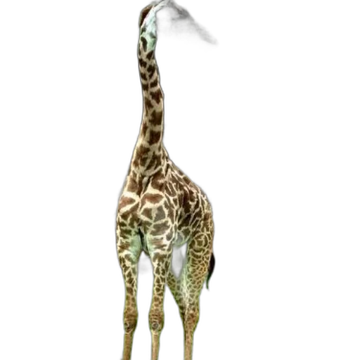 animal, creature, staff, weapon transparent PNG cut-out