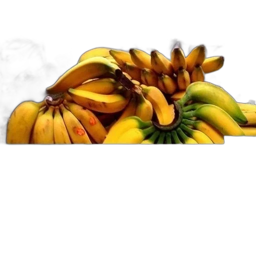 food, crown, flower, dragon transparent PNG cut-out