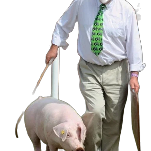 animal, creature, staff, weapon transparent PNG cut-out